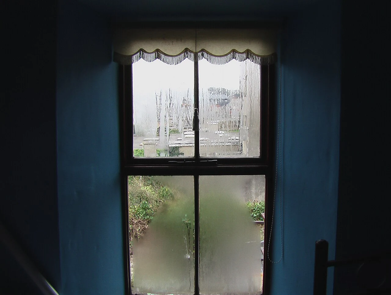 Condensation on the panes of a residential window