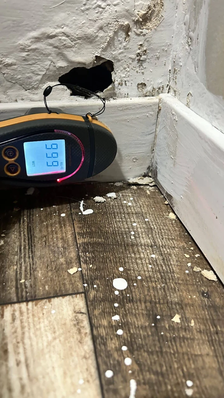 Moisture meter used at the base of a damaged wall