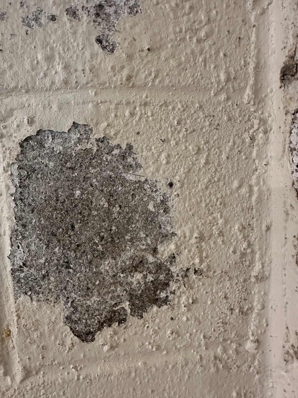 Surface deposits and discolouration on masonry