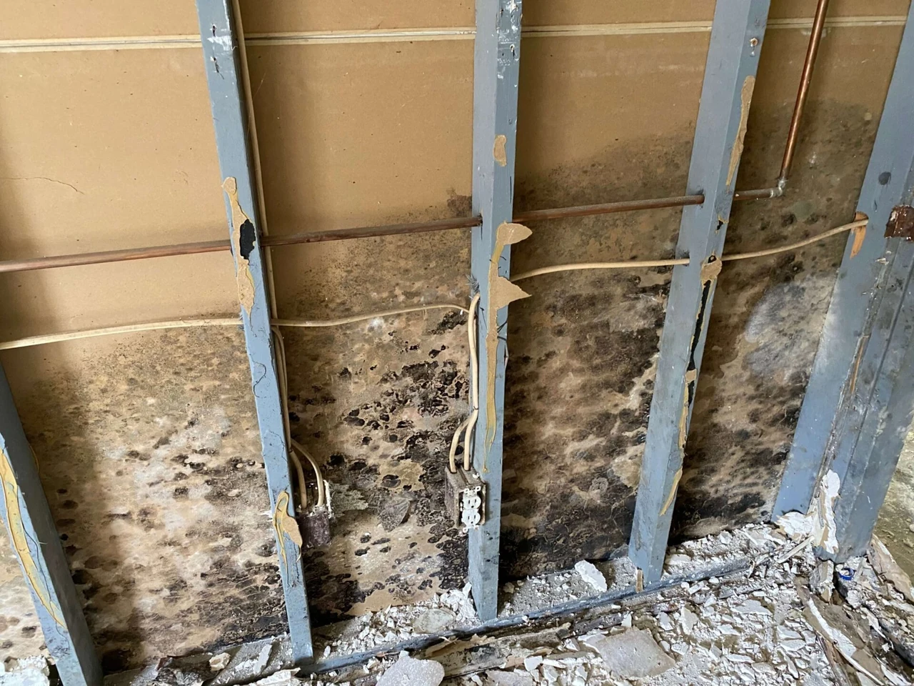 Exposed wall framing with affected material behind a removed finish